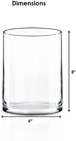 CYS EXCEL Cylinder Clear Glass Vase 8 H 6 D
