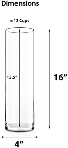 CYS Excel Clear Glass Cylinder Vase 16 H 4 D