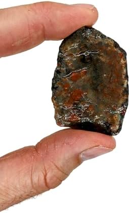 3 lbs Rough Agate Jasper Petrified Wood Stone Mix