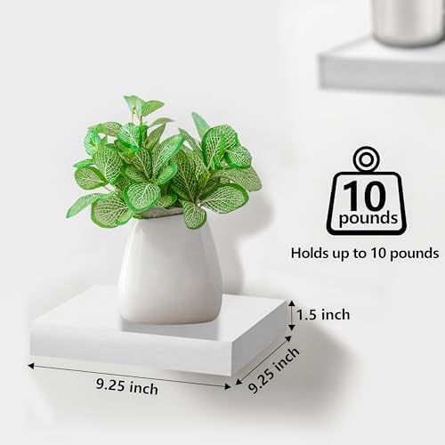 Sorbus 3 White Floating Shelves for Wall Display