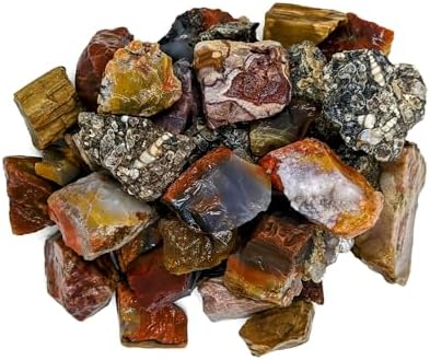 3 lbs Rough Agate Jasper Petrified Wood Stone Mix