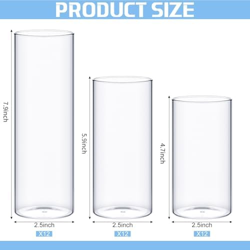 36 Pcs Clear Glass Cylinder Vases for Centerpieces