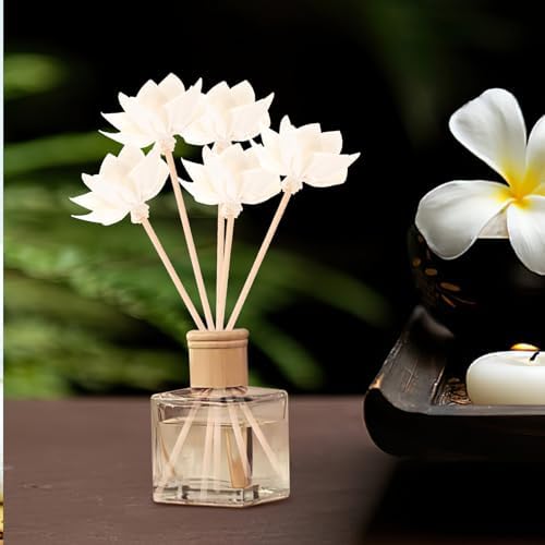 HOLIDYOYO Reed Diffuser Sticks 10pc Home Office Decor