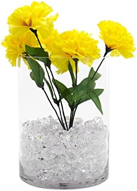 CYS EXCEL Cylinder Clear Glass Vase 8 H 6 D