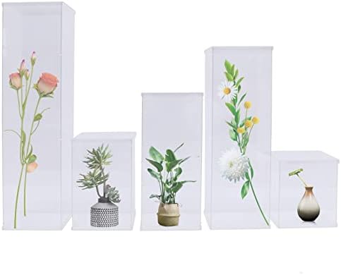 5 Pcs Acrylic Display Cube Pedestal with Removable Top