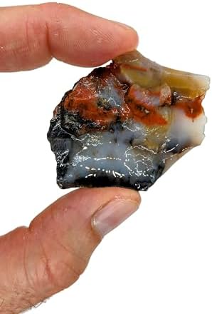 3 lbs Rough Agate Jasper Petrified Wood Stone Mix