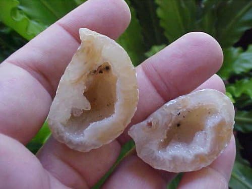 Gemquartz B1110 Agate Hollow Geode Pair
