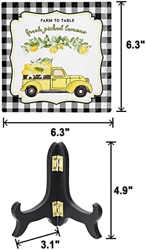 ZOE GARDEN Summer Lemon Black White Buffalo Plaid Farm Check Ceramic Ornament 63x63