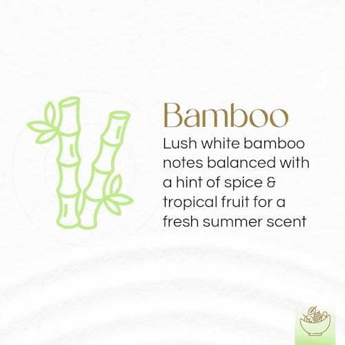 Gonesh Potpourri Natural Bamboo Scent 12 oz Gift Box