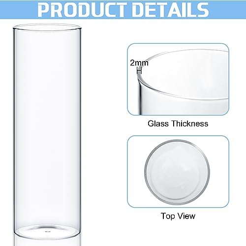 36 Pcs Clear Glass Cylinder Vases for Centerpieces