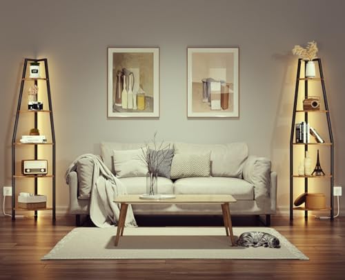 Furnulem 5 Tier Corner Shelf with LED Light