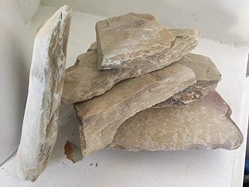 Shale Stones Gray Variety Pack 1ct Natural