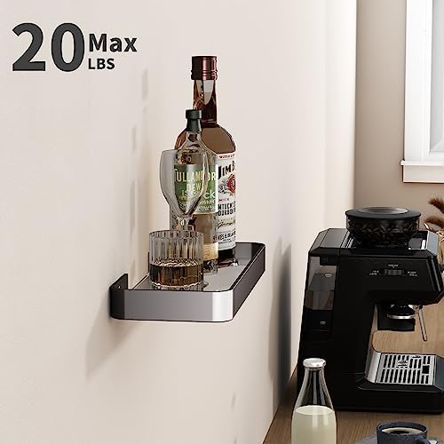 Danpoo 12 Inch Wall Shelf with Matte Black Aluminum Frame