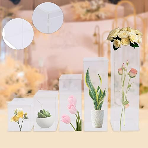 5 Pcs Acrylic Display Cube Pedestal with Removable Top