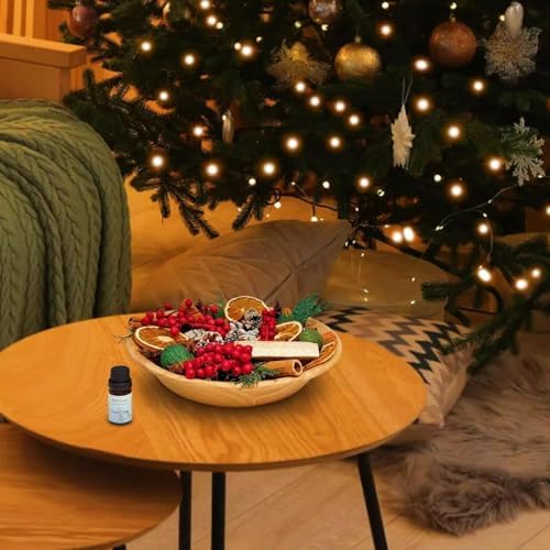 Pextian Christmas Potpourri Bowl Filler Decor