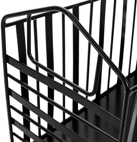 Noamus Metal Magazine Holder with Handles Black