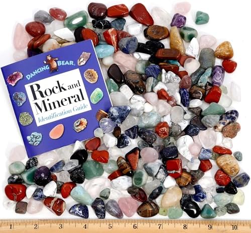 Dancing Bear 2 Pound Tumbled Stones 24 Page Book