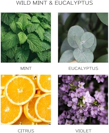 Airkeep Reed Diffuser Oil Refill with Sticks Wild Mint Eucalyptus