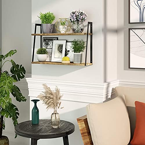 SRIWATANA 2-Tier Floating Wall Shelves Carbonized Black