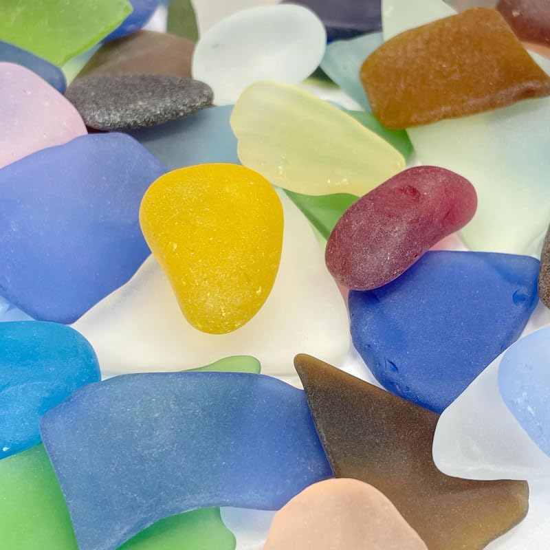 Colored Air Plants Sea Glass 25pc Set