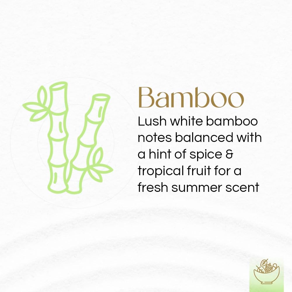 Gonesh Potpourri Natural Bamboo Scent 12 oz Gift Box