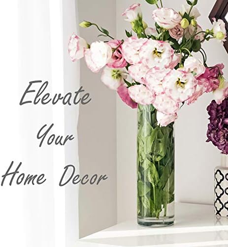 CYS Excel Clear Glass Cylinder Vase 16 H 4 D
