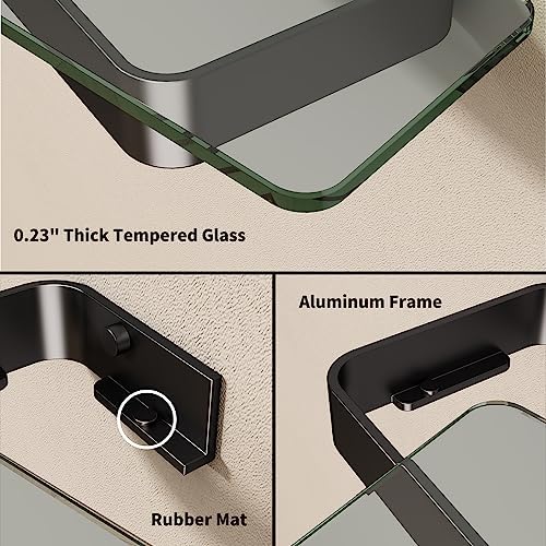 Danpoo 12 Inch Wall Shelf with Matte Black Aluminum Frame