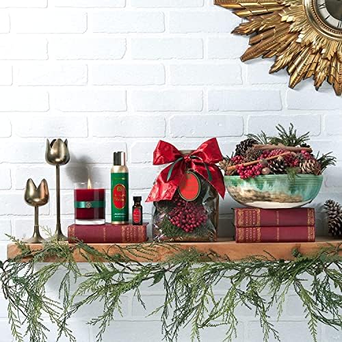 Aromatique Smell of Christmas Potpourri Bag 14oz with Bonus Stocking