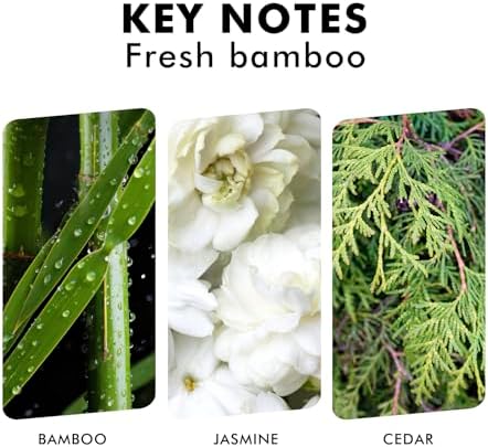 Xcleen Reed Diffuser Set Fresh Bamboo 37 Oz
