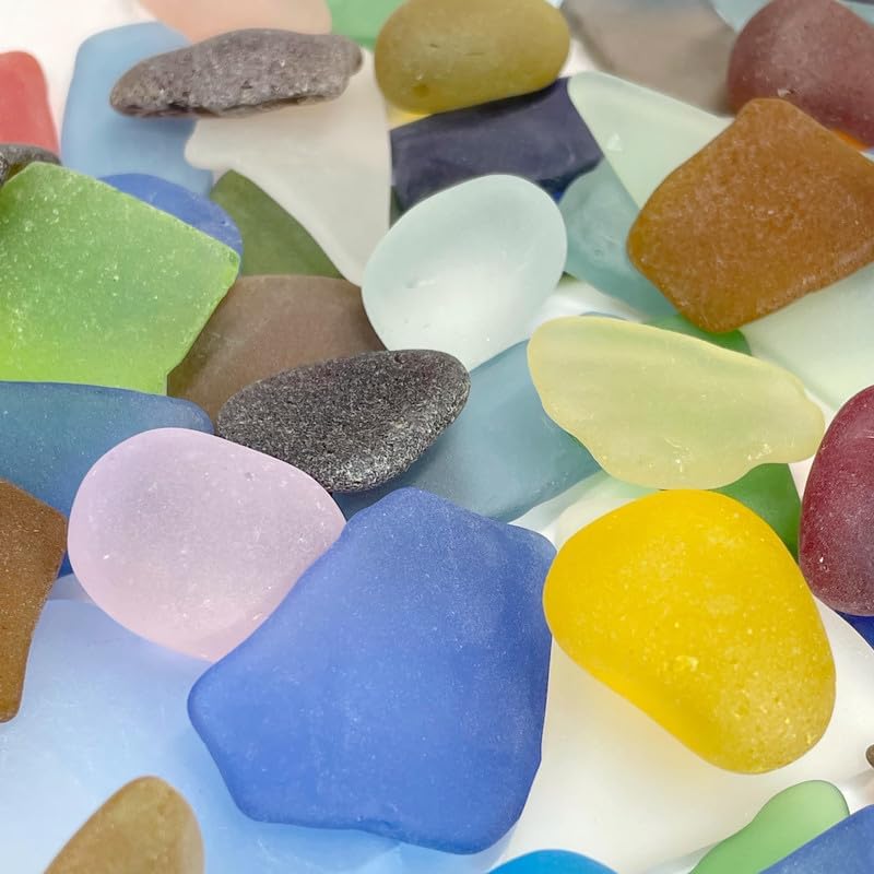 Colored Air Plants Sea Glass 25pc Set