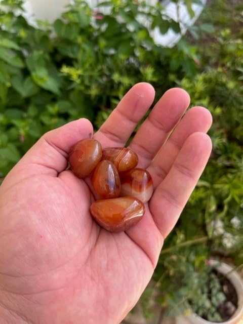 Special0212 Brown Agate Tumble Stones 1