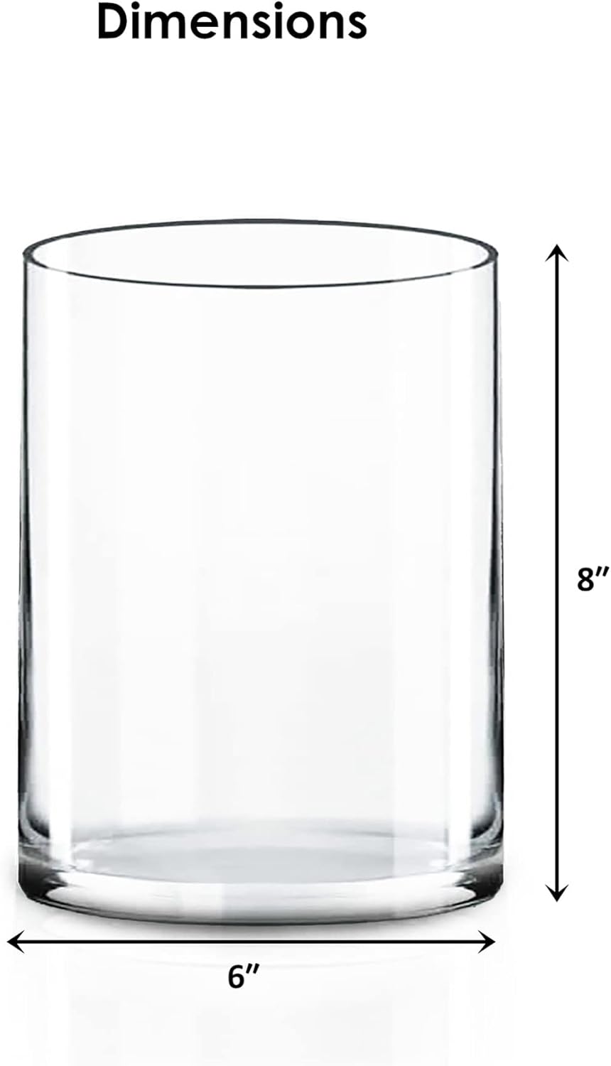 CYS EXCEL Cylinder Clear Glass Vase 8 H 6 D