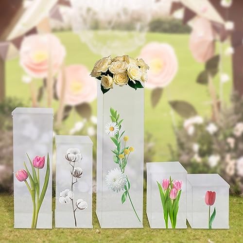 5 Pcs Acrylic Display Cube Pedestal with Removable Top