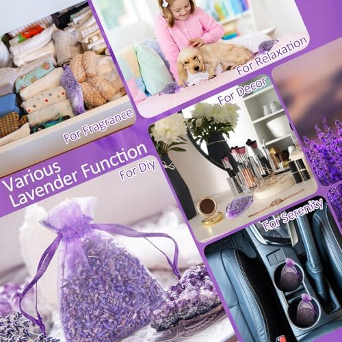 Reginary 30 Pack Lavender Sachets for Home Fragrance