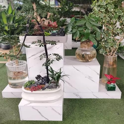 White Pedestal Stand for Sculpture Display