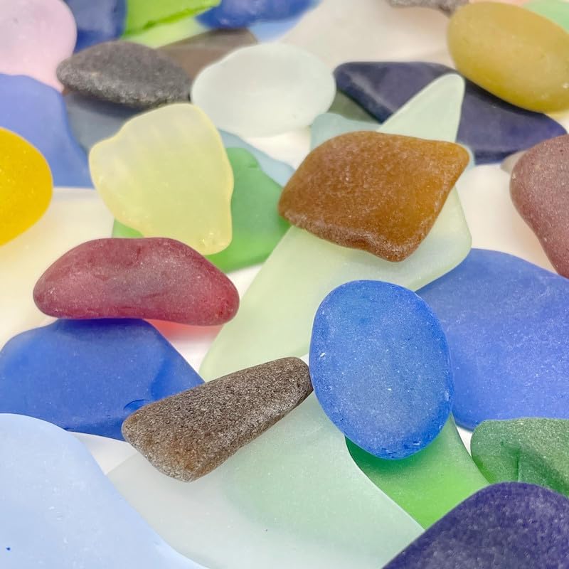 Colored Air Plants Sea Glass 25pc Set