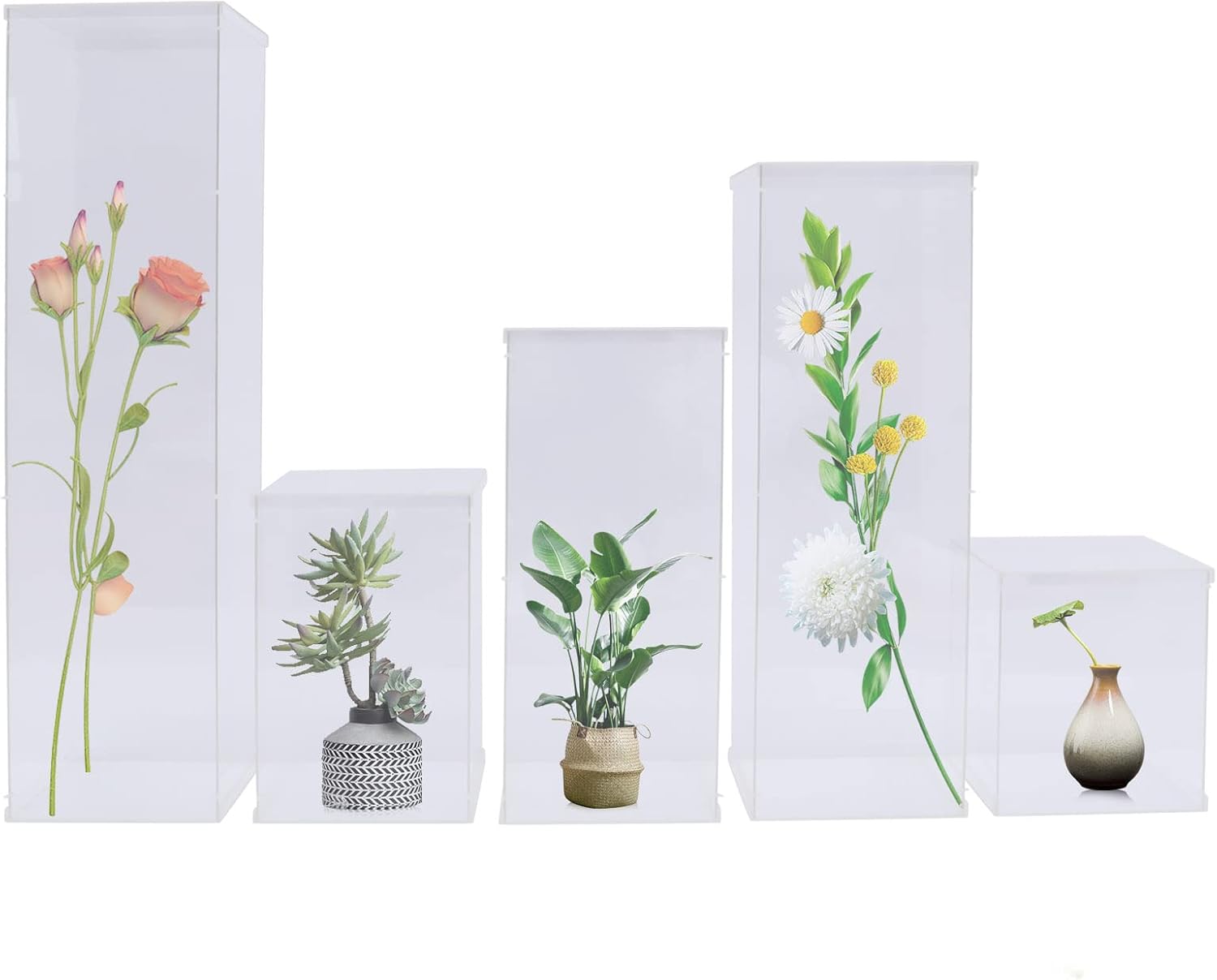 5 Pcs Acrylic Display Cube Pedestal with Removable Top