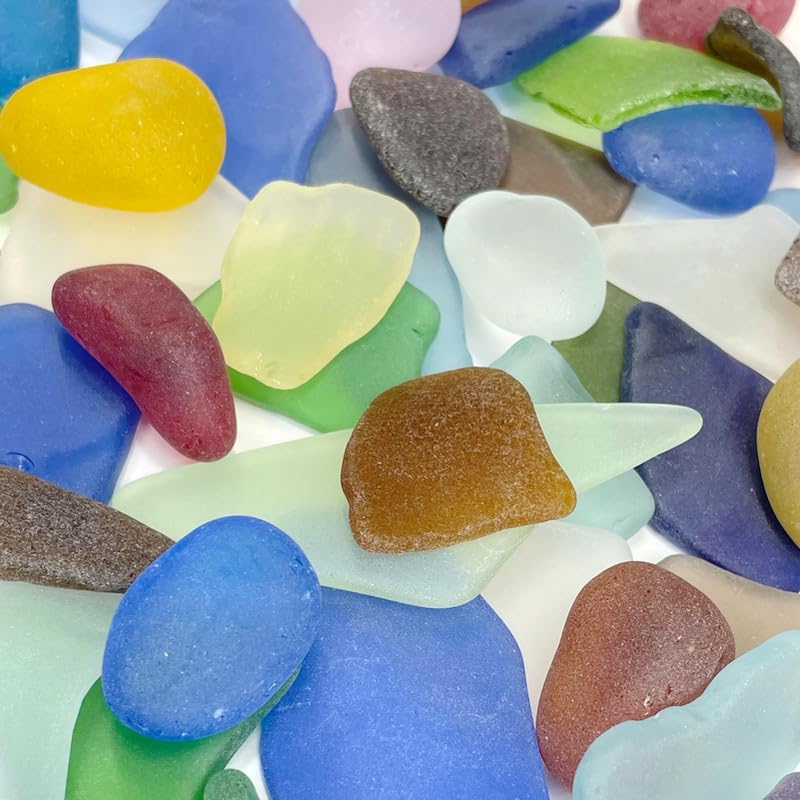 Colored Air Plants Sea Glass 25pc Set