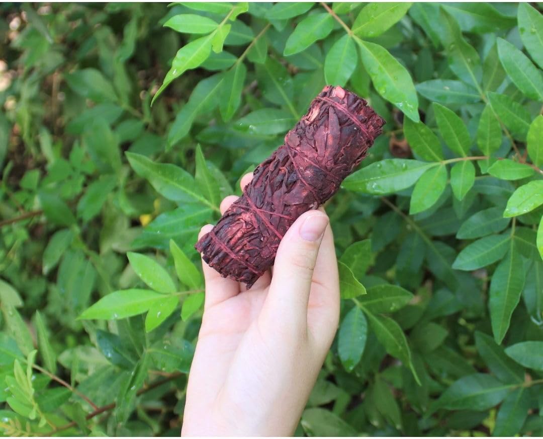Dragons Blood Sage Smudge Sticks for Energy Cleansing