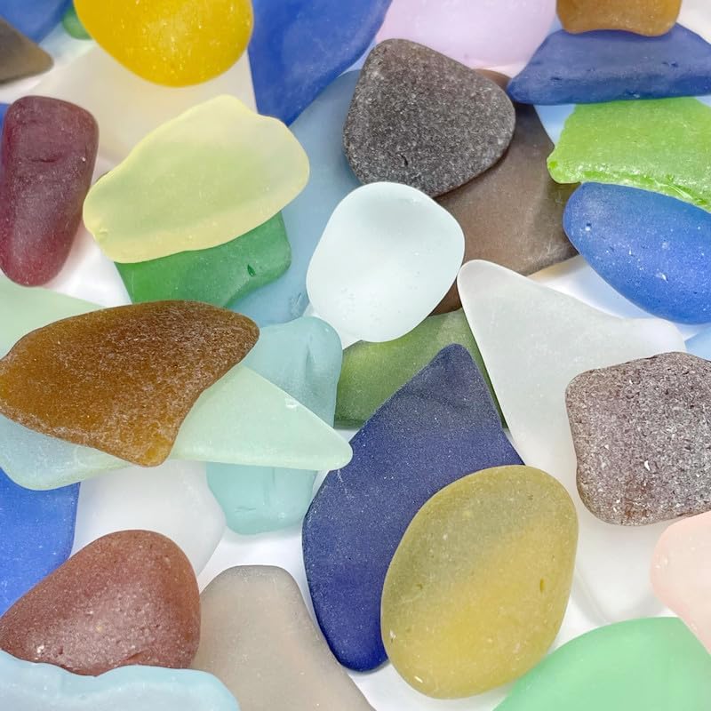 Colored Air Plants Sea Glass 25pc Set