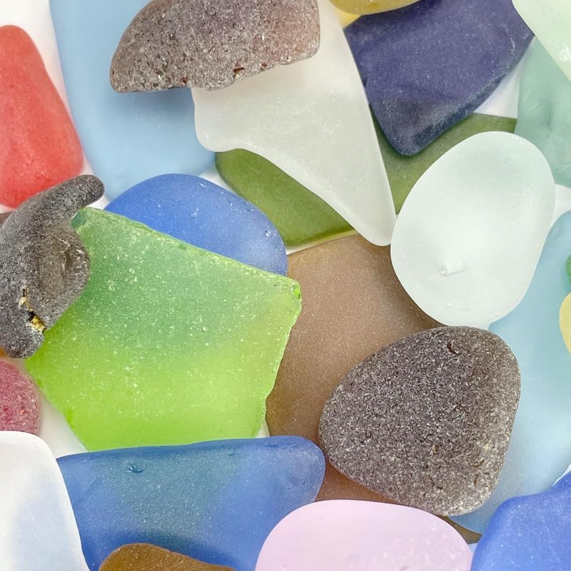 Colored Air Plants Sea Glass 25pc Set
