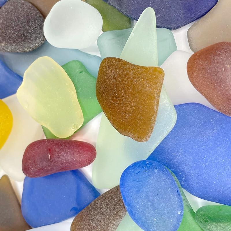 Colored Air Plants Sea Glass 25pc Set