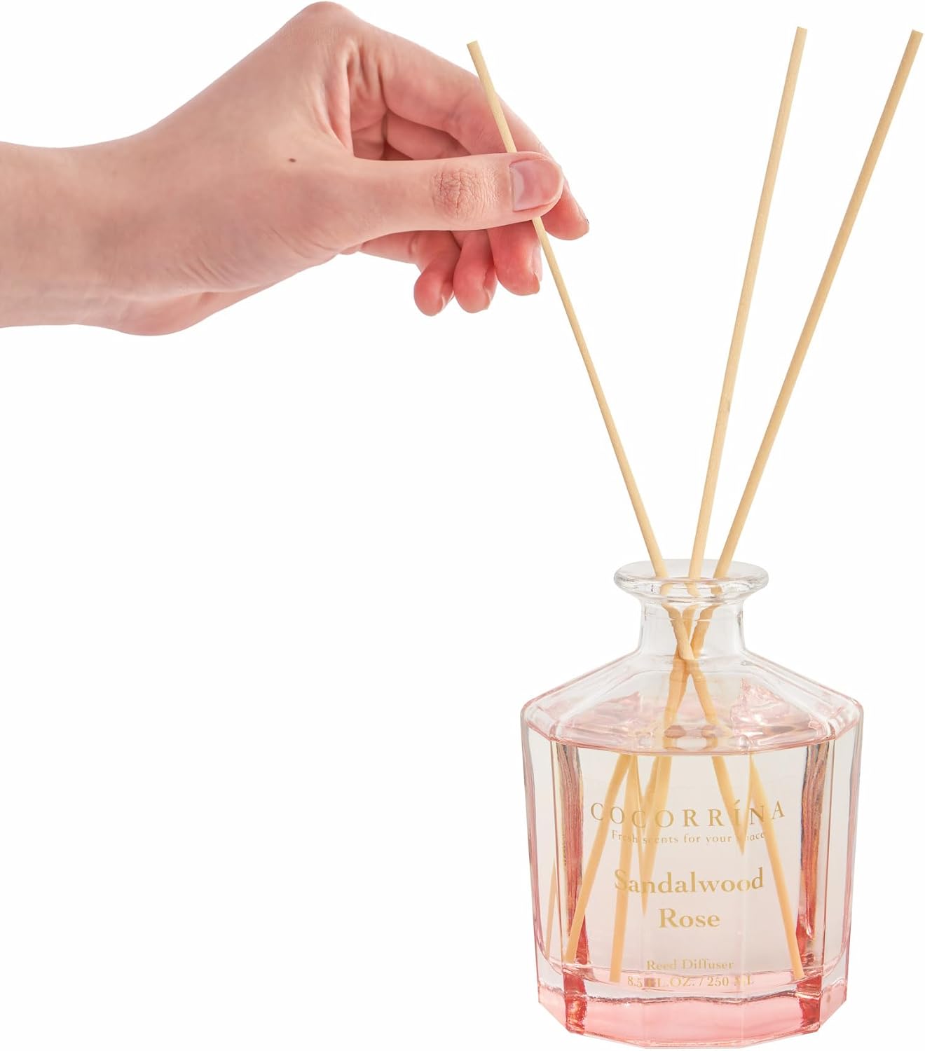 Cocorrina Sandalwood Rose Reed Diffuser Set