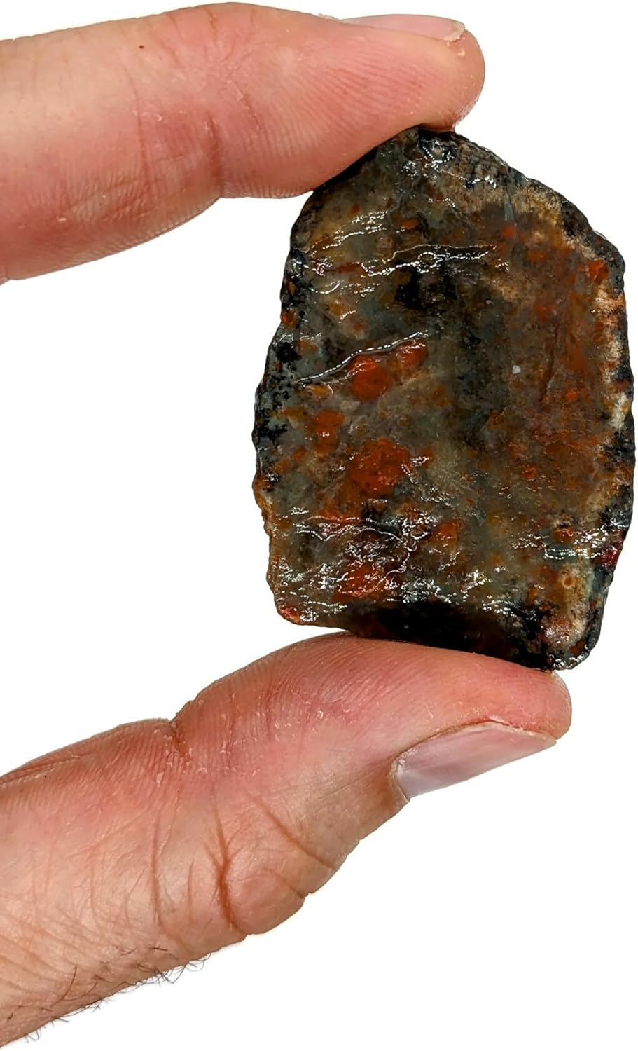 3 lbs Rough Agate Jasper Petrified Wood Stone Mix