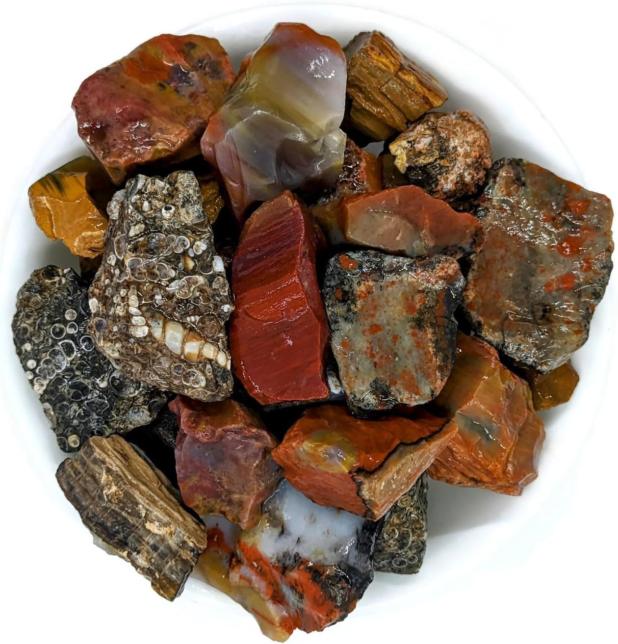 3 lbs Rough Agate Jasper Petrified Wood Stone Mix