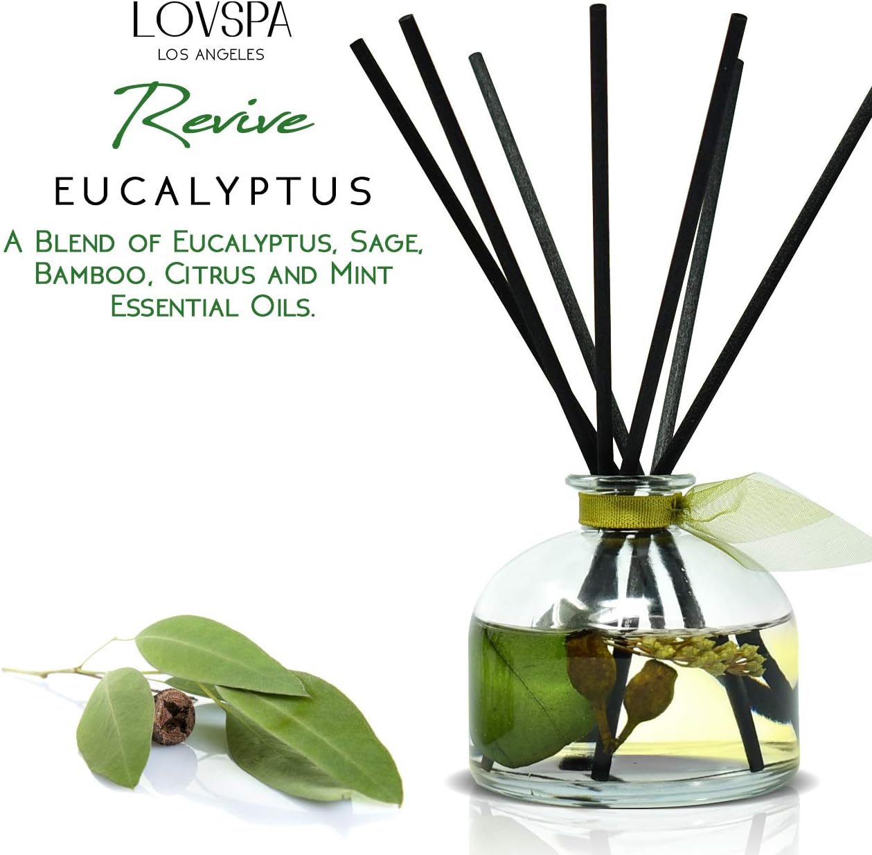 LOVSPA Eucalyptus Reed Diffuser Set Fresh Aromatherapy Gift for Family