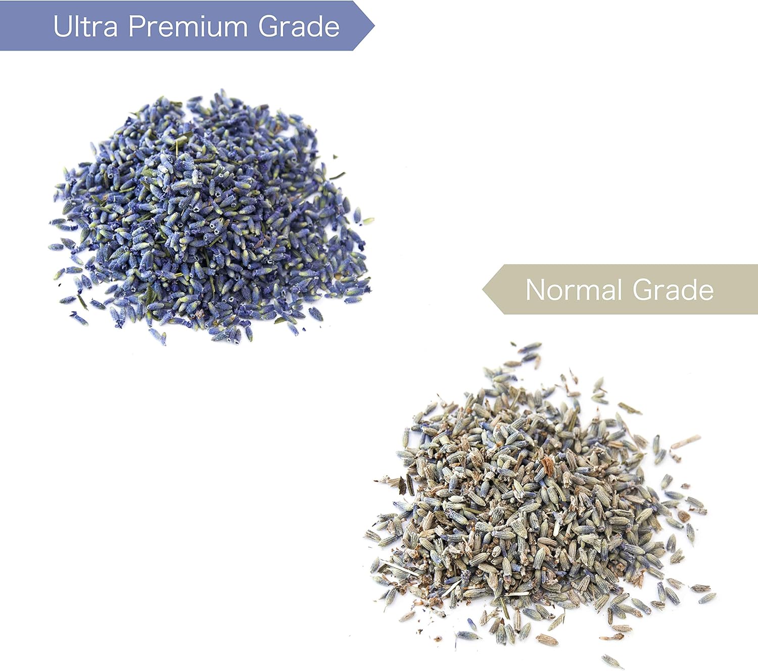 Lavande Sur Terre Dried Lavender Flower Buds 5 Ounces