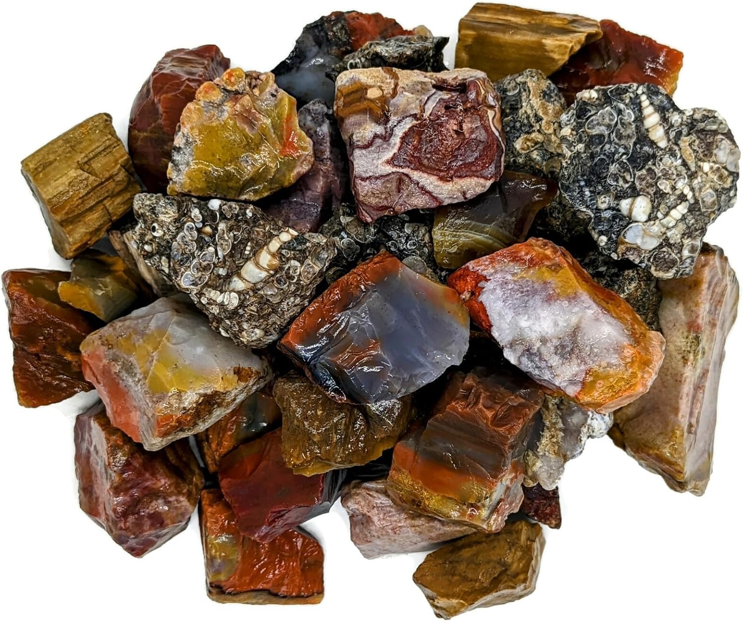 3 lbs Rough Agate Jasper Petrified Wood Stone Mix