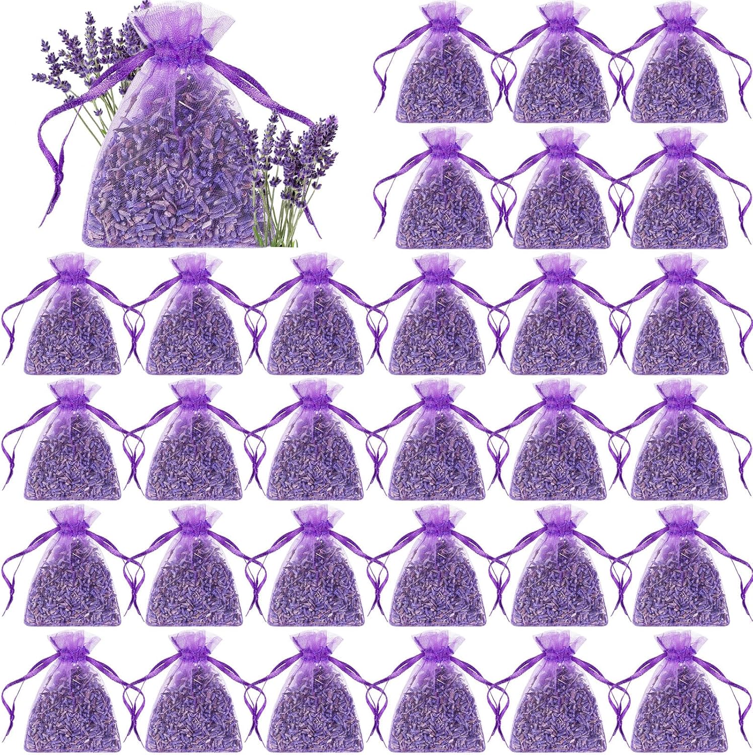 Reginary 30 Pack Lavender Sachets for Home Fragrance